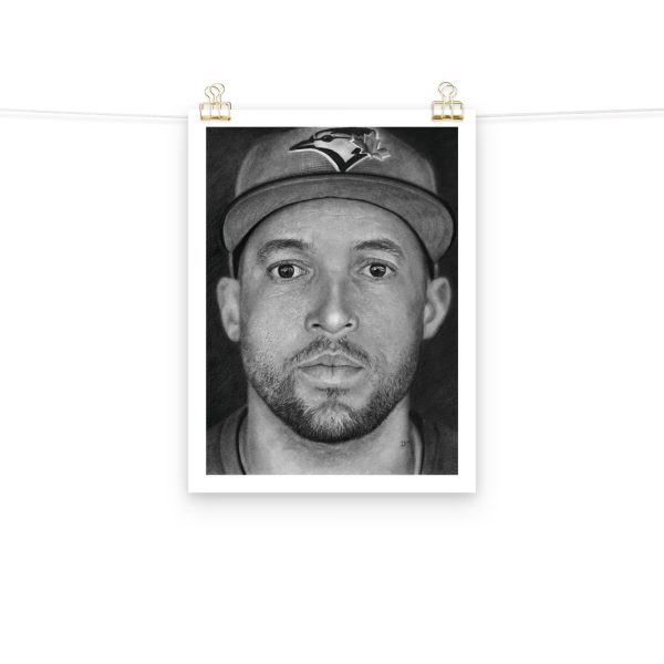 Springer - White Border - Image 4
